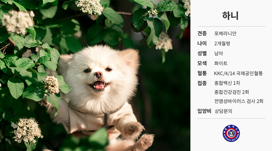 예시.png